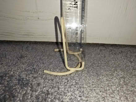 Photo of free Decorative plate stand (Dawlish EX7) #2