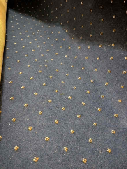 Photo of free Wool carpet / rug (Oughtibridge S35) #2
