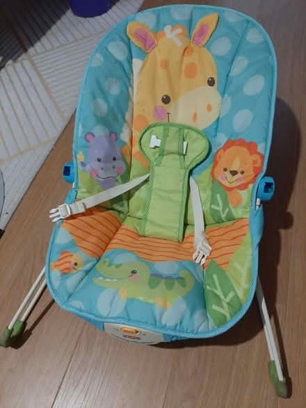 Photo of free Bouncy chair (Grove) #1