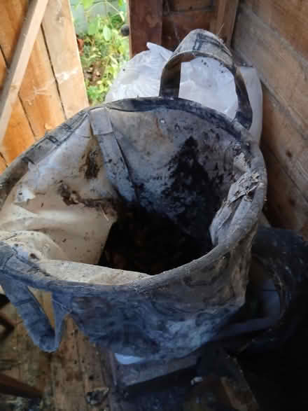 Photo of free Contents of Shed (Shankill, Dublin 18.) #2