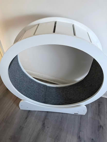 Photo of free Cat wheel (W13) #1