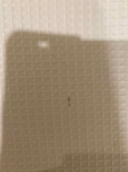 Photo of free Single duvet cover and pillow cases (Weybridge KT13) #3