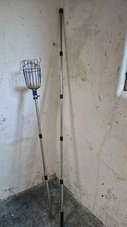 Photo of free Fruit/Apple Picker (Worle BS22) #2