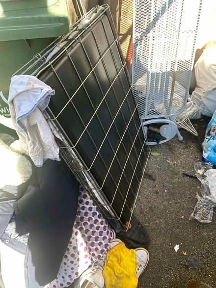 Photo of free Dog bed snd toys (Golborne WA3) #4