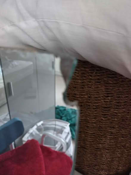 Photo of free Tall.slim.mirror (Braintree near freeport CM7 3) #2