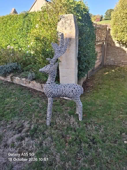 Photo of free Christmas Wicker Reindeer dec (Near Bath BA2) #2