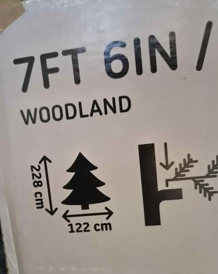 Photo of free Christmas tree (G44 5QA) #3