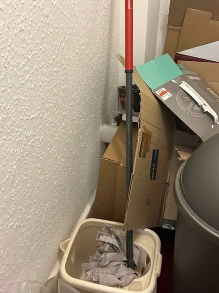 Photo of free Vileda mop and bucket (SW2) #1