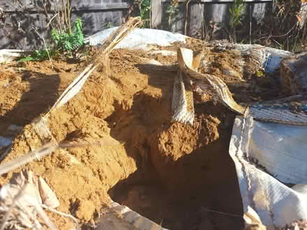 Photo of free Sand (Bounds Green N11) #1