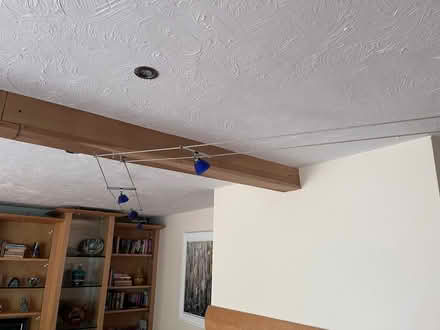 Photo of free Low voltage string lights (Thundridge SG12) #1