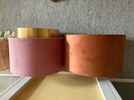 Photo of free Lampshades (Walkley S6) #1