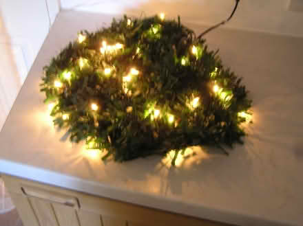 Photo of free Green garland entwined fairy lights (West Moors BH22) #1