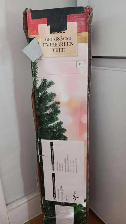 Photo of free Christmas tree (North, east london N22) #2