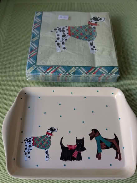 Photo of free Small Tray and Serviettes (Beulah Hill SE19) #1