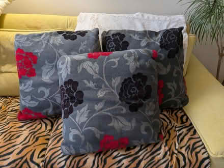 Photo of free 3 x large cushions (Linslade LU7) #1