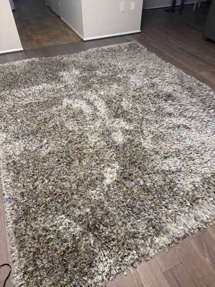 Photo of free Area rug (Leisure World 20906) #1