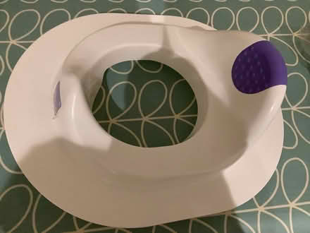 Photo of free Toddler toilet seat (Stoke Mandeville HP22) #1