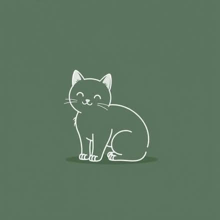 Photo of Things for kittens (Rhosnesni LL13) #1