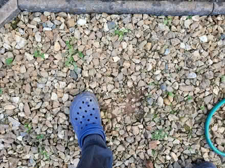 Photo of free Gravel - Totnes (Totnes TQ9) #1