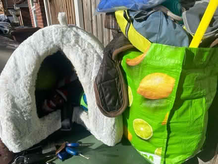 Photo of free Dog bed snd toys (Golborne WA3) #3