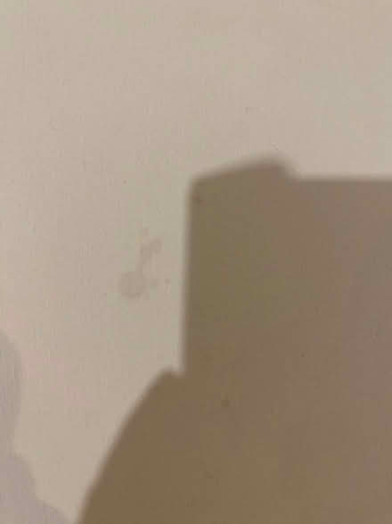 Photo of free Set of 4 single sheets (Weybridge KT13) #3
