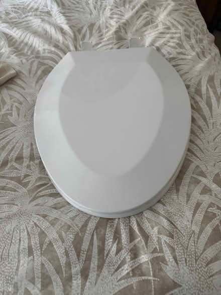 Photo of free Oblong toilet seat (Alameda) #1