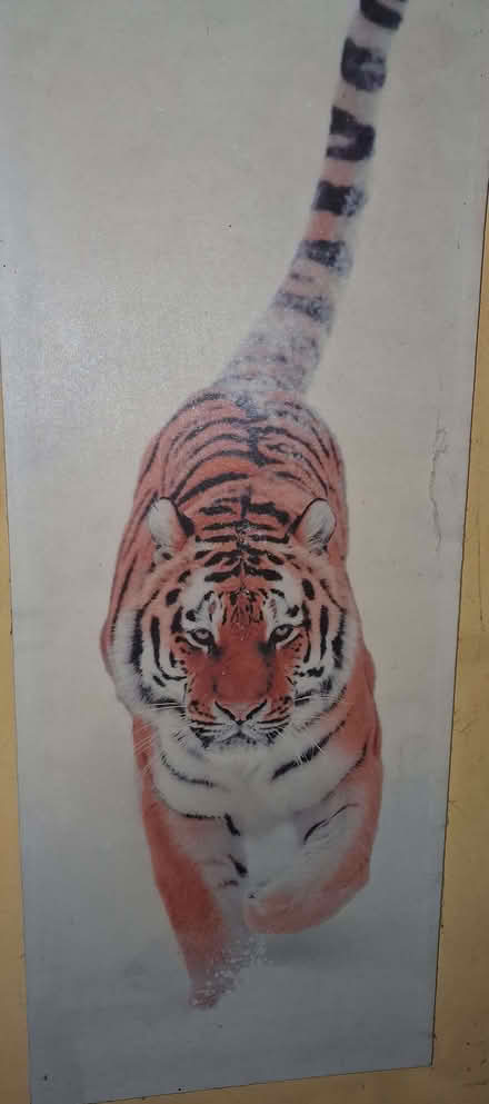 Photo of free 3 large canvas pictures (Stratton Strawless NR10) #1