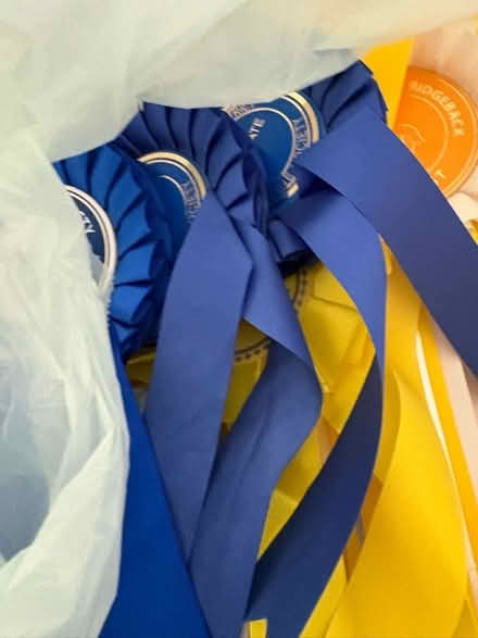 Photo of free Dog show rosettes 🏵️ (Great Linford MK14) #4