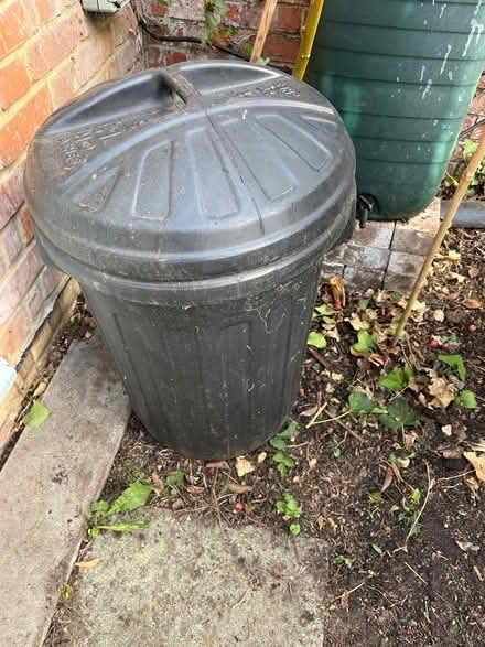 Photo of free Two black bins (Ealing Common W5) #1