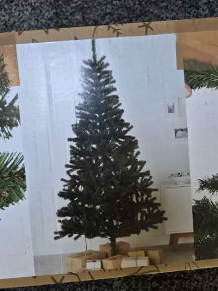 Photo of free Christmas tree (G44 5QA) #1