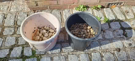 Photo of free Stones, gravel and buckets (Mudeford BH23) #1