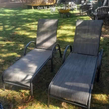 Photo of free Lounge Chairs (22 Thirty Eighth Street, Etob) #1