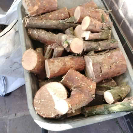 Photo of free Firewood logs, two wheelbarrows full, cut to size (Hesketh Bank PR4) #1