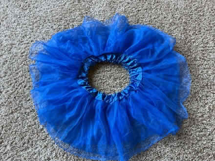 Photo of free Blue tutu skirt, Halloween, dance (Chaska) #2