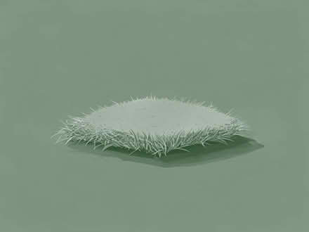 Photo of Offcut of Artificial Grass (Paulsgrove PO6) #1
