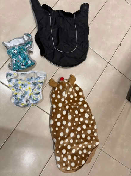 Photo of free Dog items (Forest Hill OX33) #1