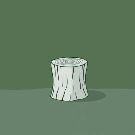 Photo of 2-3 thinly and evenly sliced tree stump 20cm-30cm diameter (Hoddesdon EN11) #1