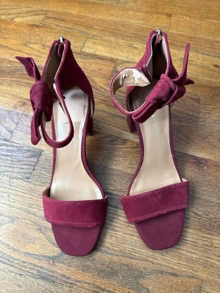 Photo of free Size 8 Tommy Hilfiger Sandals (Clason Point Bronx NY) #1