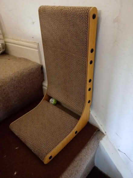 Photo of free Cat scratcher (Lanteglos Highway) #1