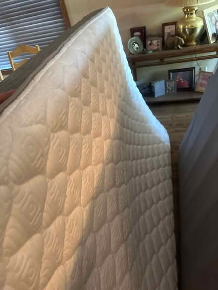 Photo of free bed full size (Martinez,ca) #1