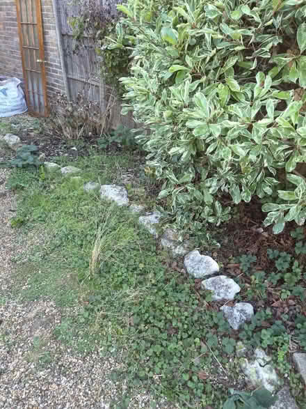 Photo of free Rockery rocks sandstone limestone (Tewin) #4