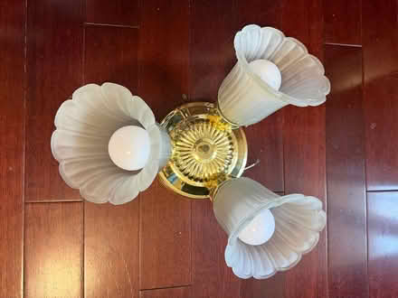 Photo of free Light fixture (Nepean) #1
