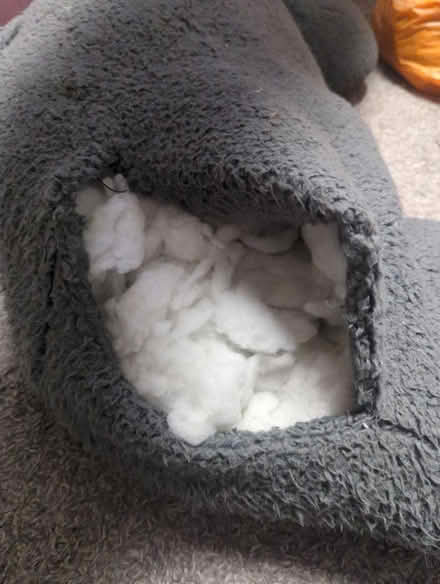 Photo of free Stuffing for cushion, teddies, crafts etc (Surrenden BN1) #1