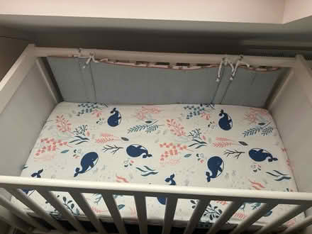 Photo of free White Baby Cot with Mattress (Thundersley SS7) #3