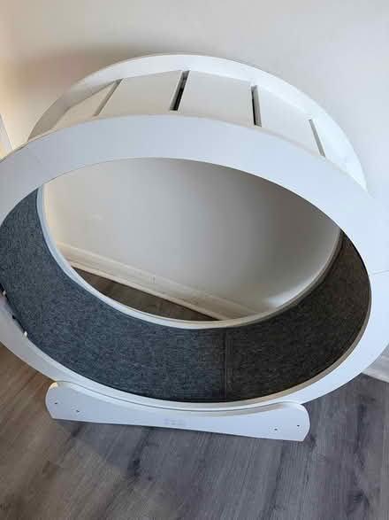 Photo of free Cat wheel (W13) #2