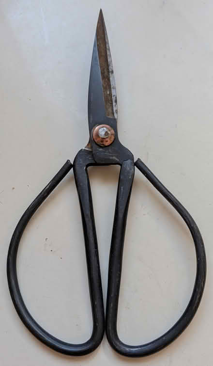 Photo of free small pruners (Anna st in Teaneck) #1