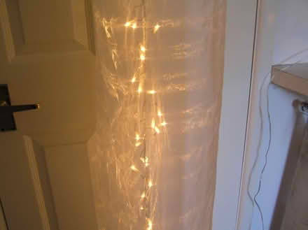 Photo of free Hanging column of fairy lights (West Moors BH22) #2