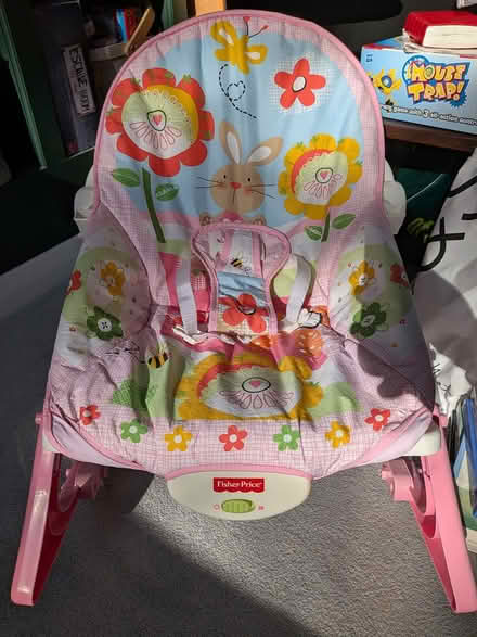 Photo of free Baby bouncer (EN4) #4