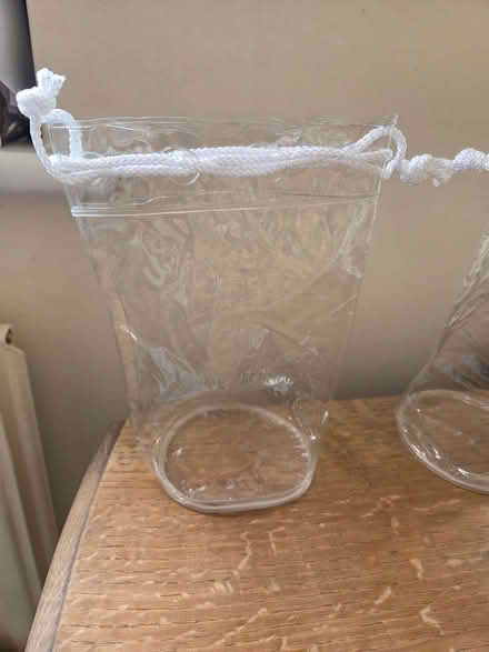 Photo of free Clear plastic gift bags with draw string (Fleetville AL1) #1