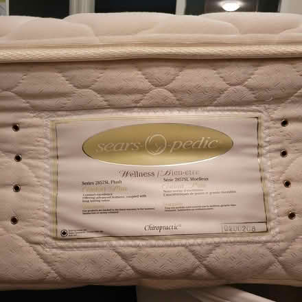 Photo of free Double Mattress & Boxspring (Downtown Nanaimo) #1